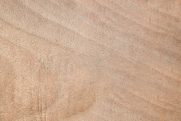 Wood texture with natural pattern.