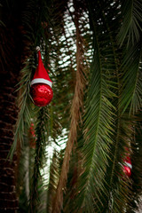 palm tree with Christmas toys, growing in the Park, decorated with Christmas decor, red scarves,and Santa Claus hats