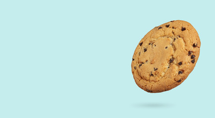 chocolate chip cookie isolated on color background