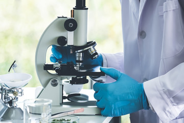 Scientist Using a microscope For product inspection In order to achieve the required quality at workplace to science concept.