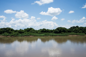 Paraguay river in Pantanal of Mato Grosso do Sul, Brazil