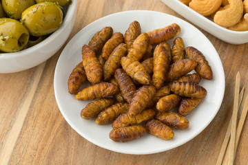 Bowl with salted crispy silkworms