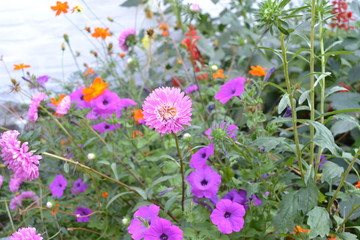 Fototapete bei efototapeten.de bestellen   