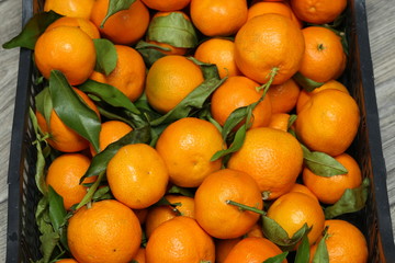 Ripe tasty tangerines with fresh leaves in wooden box
