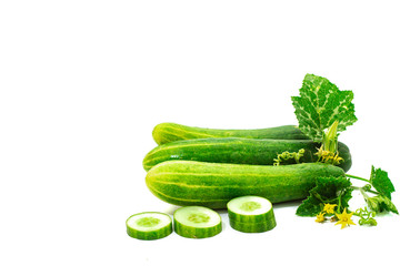 Fresh Cucumber and slices isolated on a white background