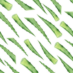 Watercolor vector seamless pattern with green aloe leaves.
