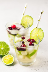Festive cocktail, iced citrus, cranberry, apple drink. Selective focus, copy space.