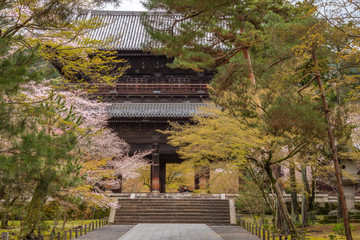 京都府 南禅寺 桜