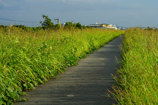 46 Best 土手道 Images Stock Photos Vectors Adobe Stock 46 Best 土手道 Images Stock Photos Vectors Adobe Stock