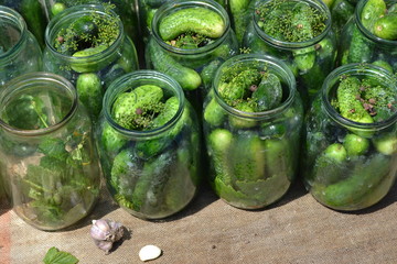 Homemade. Natural. Blanks for the winter. Marinated. Cucumbers in jars