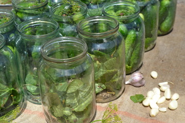 Natural products from the garden. Village, cottage, farm, cellar. Homemade food. Tasty, healthy. Preservation, Spice. Blanks. Marinated. Cucumbers in jars