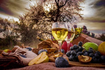 autumn still life with light wine in glasses and fruit at sunset