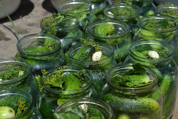Tasty and healthy. Homemade food. Natural products from the garden. Village, cottage. Preservation. Blanks. Marinated Cucumber. Cucumbers in jars. Pepper. Horizontal