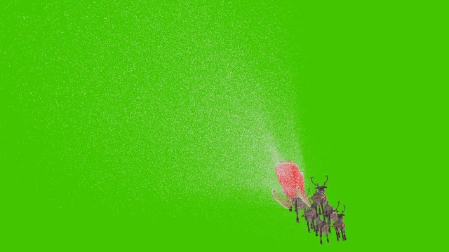 Santa Claus is flying on a Christmas sleigh with reindeer. Animation in front of a green screen.