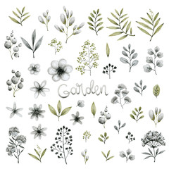 set garden isolates green and gray plants, leaves branches and flowers, freehand pencil drawing