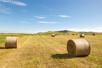 Rollos redondos de paja en paisaje agrícola con cielo azul y nubes