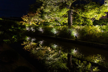 Obraz premium 京都の東寺と紅葉の夜景