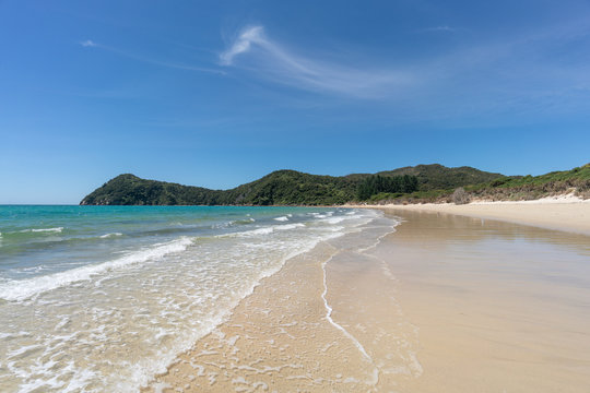 Clear day with blue sky on the white sandy beach of Awaroa in Abel Tasman N.P.,New Zealand.