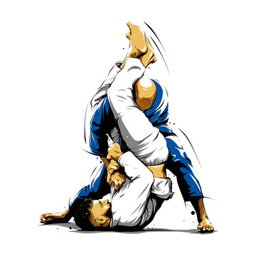 Brazilian Jiu-Jitsu action 5