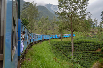 Zugfahrt durch Teeplantagen in Sri Lanka