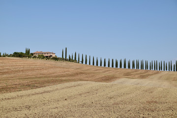 A typical view of a characteristic Tuscan landscape - Tuscany Italy