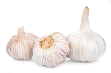 Garlic isolated on white background