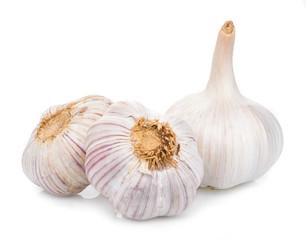 Garlic isolated on white background