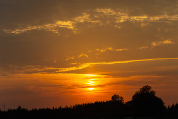 Orange sunset behind the clouds and black silhouettes of trees