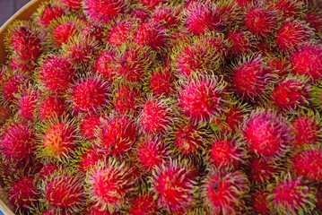 rambutan, rambutan from Thailand country