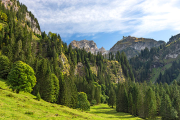 Beautiful alpine landscape with lush-green forest,pasture and rocky mountains. Vorarlberg, Austria.