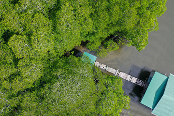 Aerial view the house with green landscape of tropical mangroves and the river across in Sabah...