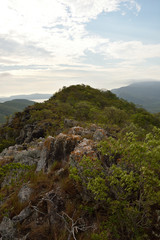 Naklejka premium Wetland Mountain Wetland (pantanal)
