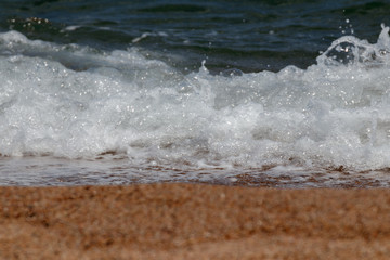 landscape in the coast at summer