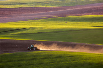 tractor plows the field in the spring