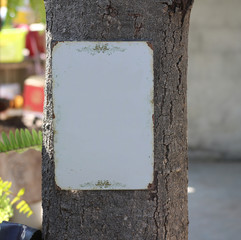 blank signboard is on the tree at park