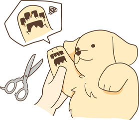 ゴールデンレトリバーの子犬（足の毛カット）