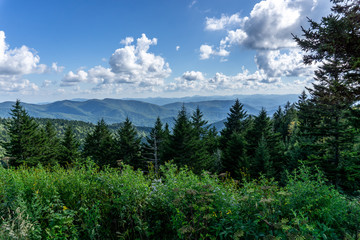Obraz premium Vista in the Blue Ridge Mountains