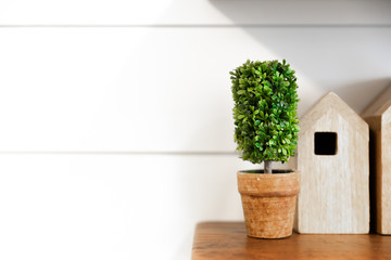 Green plant on a wood shelf with white ship lap background