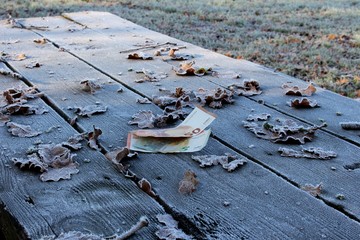 Money on a table covered with hoarfrost