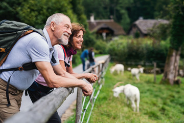 A senior pensioner couple hiking in nature, resting. Copy space.