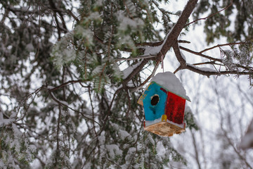 feeding trough, cratch in snowy winter park