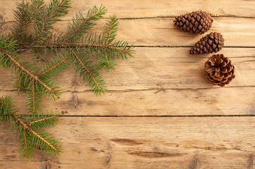cones and branches of spruce on a wooden background
