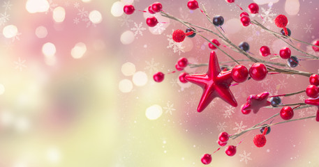 Obraz premium branch of christmas stars and berries