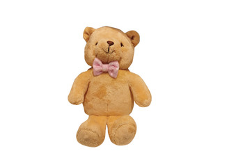 Teddy bear isolated on white background.