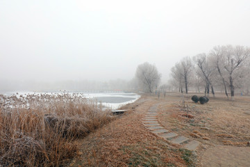 Obraz na płótnie Canvas Natural scenery in winter