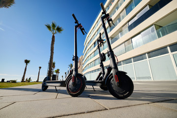 Three black colour electric scooters for adults outdoors on blue sky tropical climate landscape background, no people. Modern technology land vehicle eco alternative transport concept © Alex Tihonov