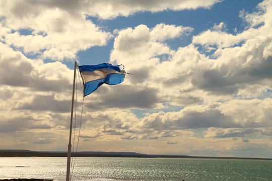 bandera argentina flameando sobre cielo nublado