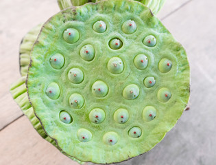 fresh lotus seeds on the table background