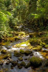 Naklejka na ściany i meble A river in Desengano State Park in the Mata Atlantica biome. Ecotourism is the main attraction of the northern region of Rio de Janeiro state, Brazil