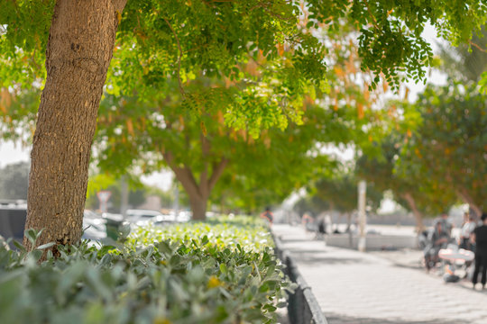 al bateen park abu dhabi